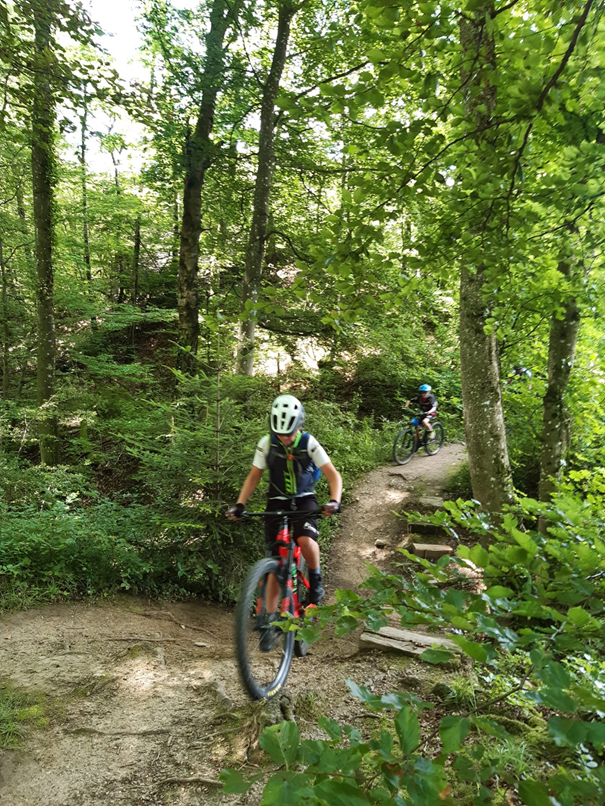 Bild1