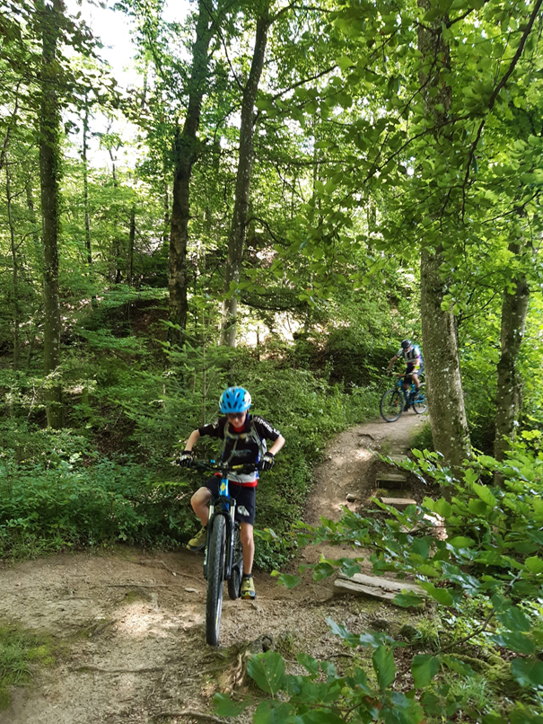 Bild1